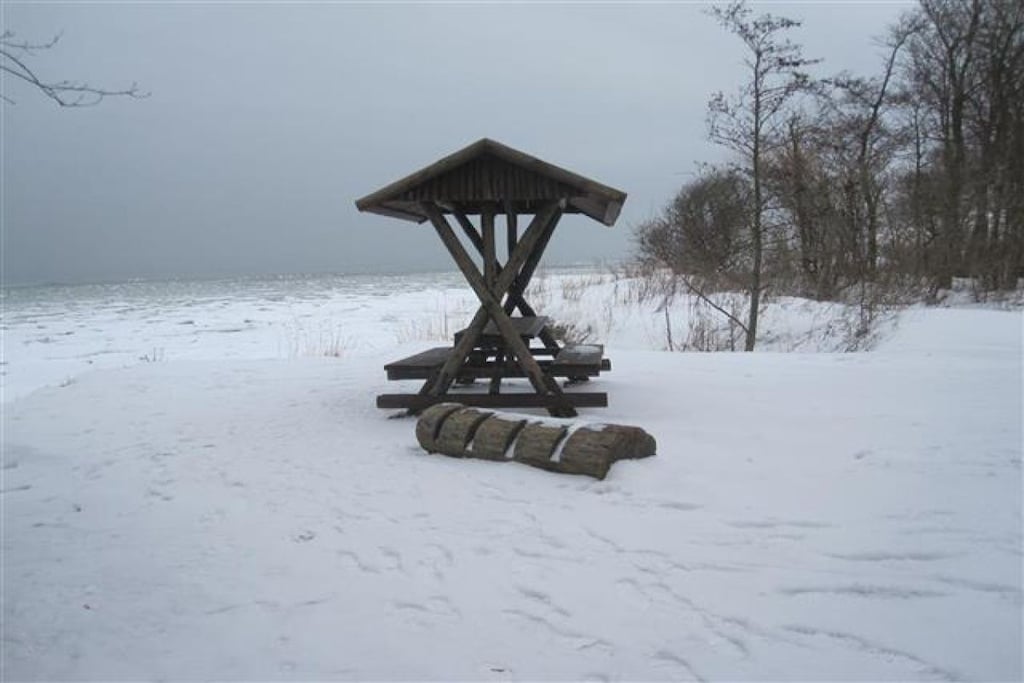 81219 - Niet-getagd