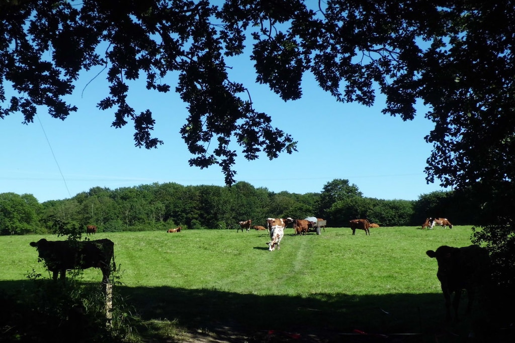91595 - Niet-getagd