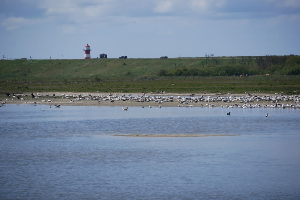 210775 - Niet-getagd