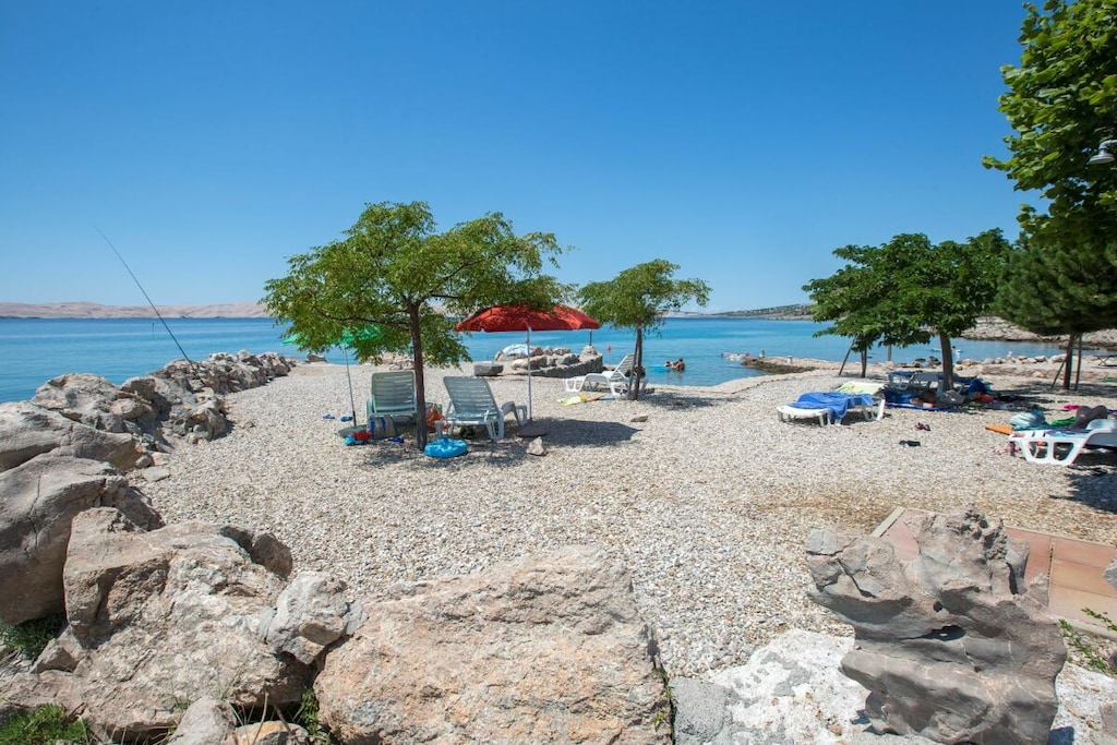 353981