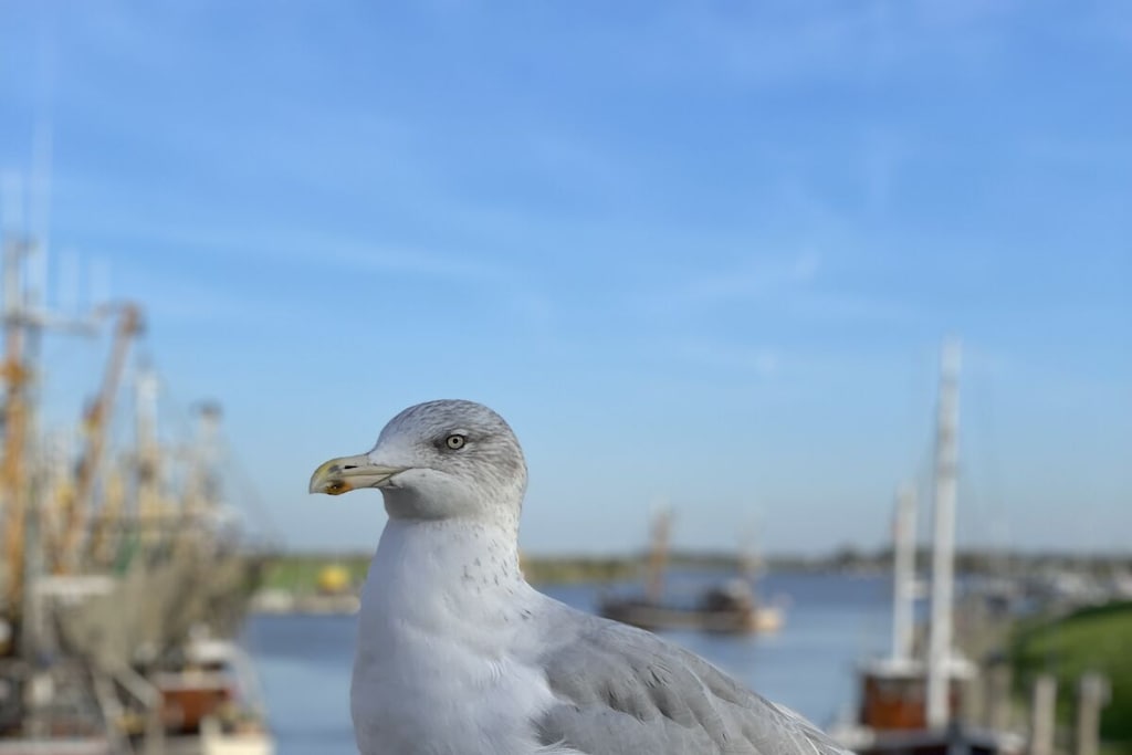 748827 - Non tagué