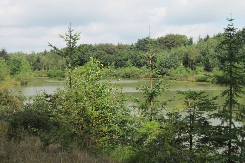 37461 - Niet-getagd