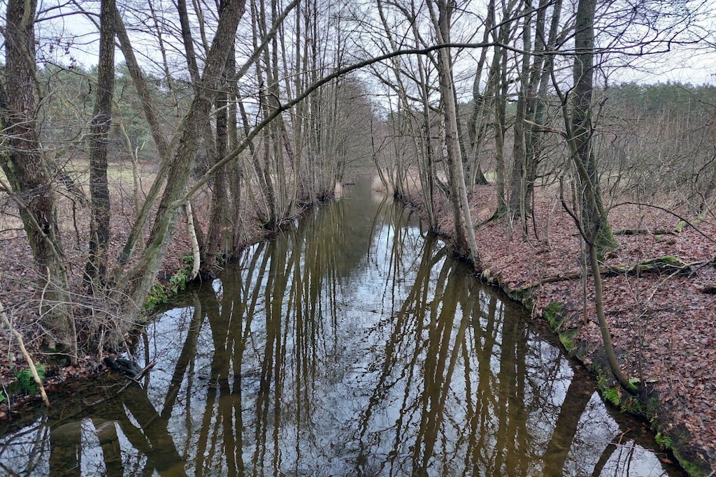 444608 - Niet-getagd