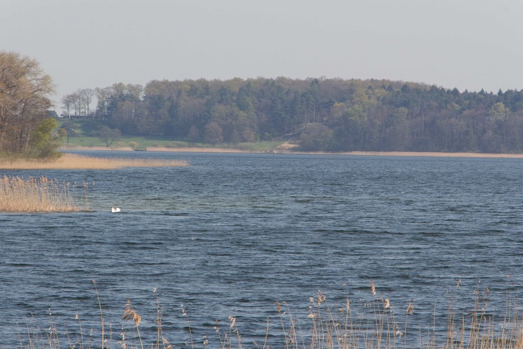 80569 - Niet-getagd