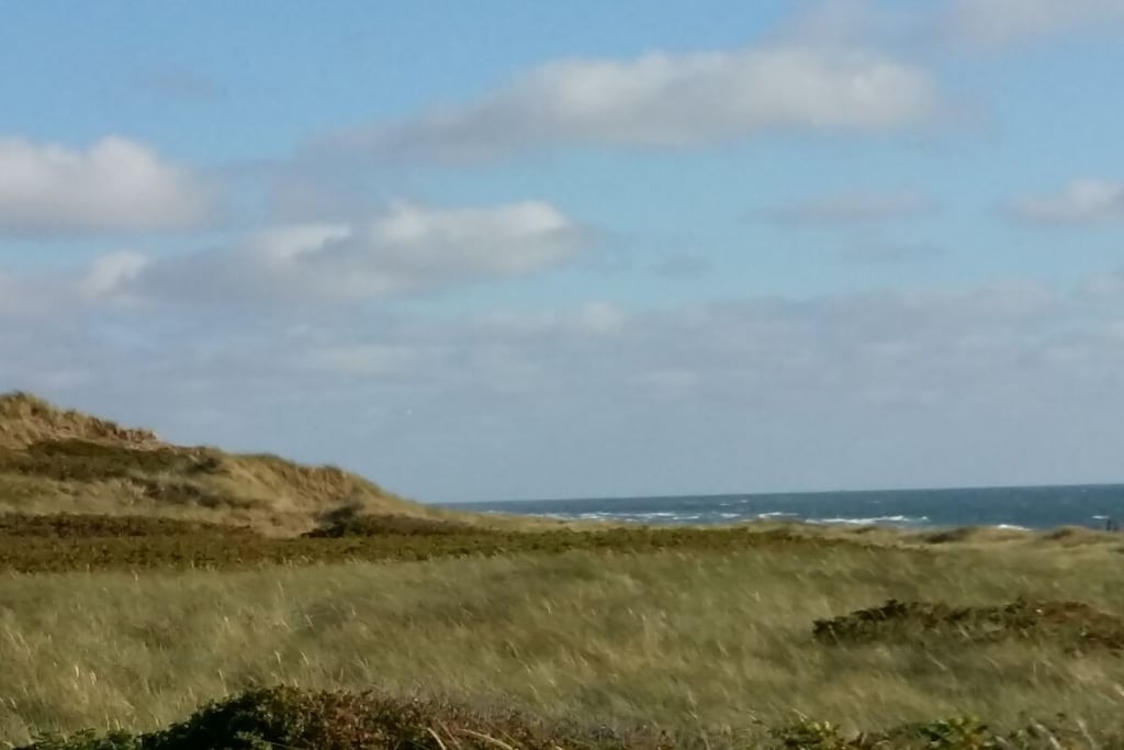 475242 - Niet-getagd