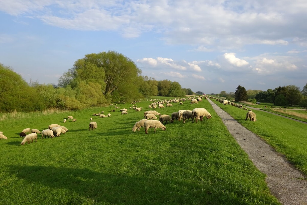52988 - Nicht zugeordnet