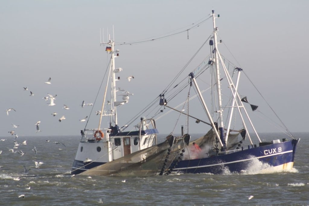 129836 - Niet-getagd