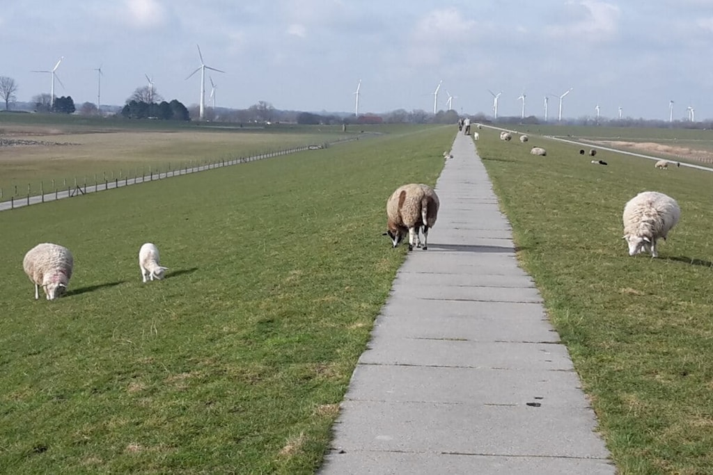 410633 - Niet-getagd