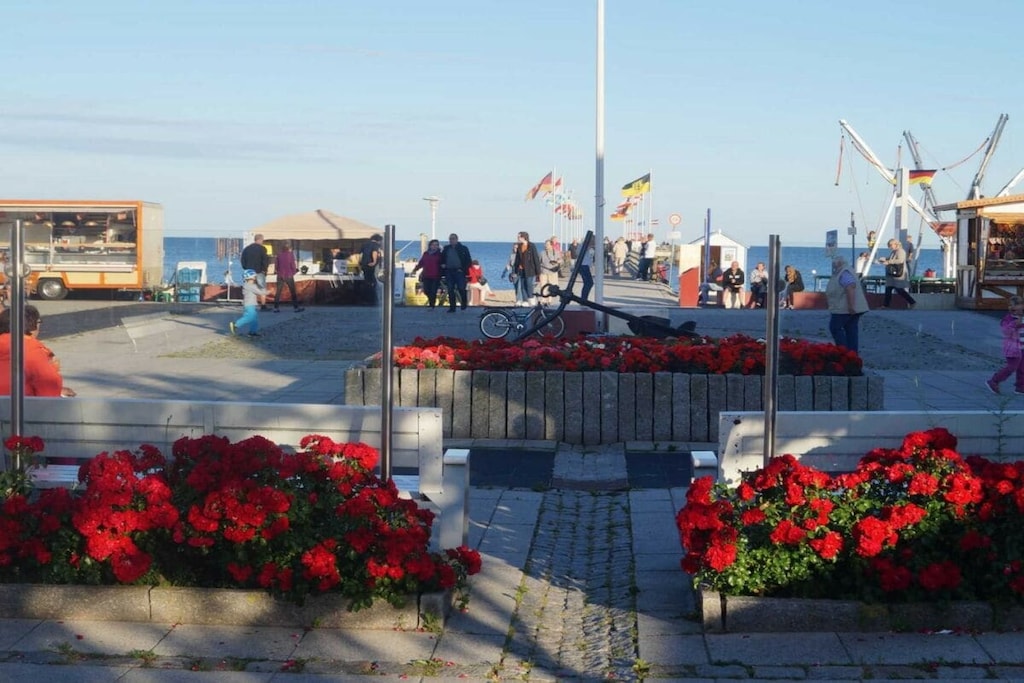 204860 - Untagged