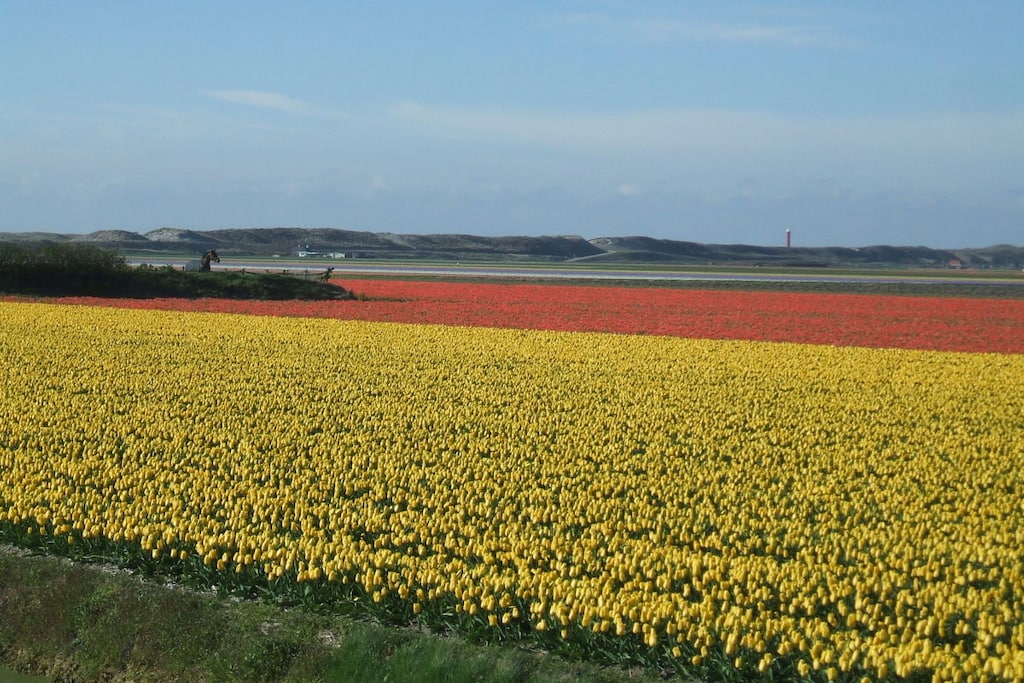 8695 - Niet-getagd