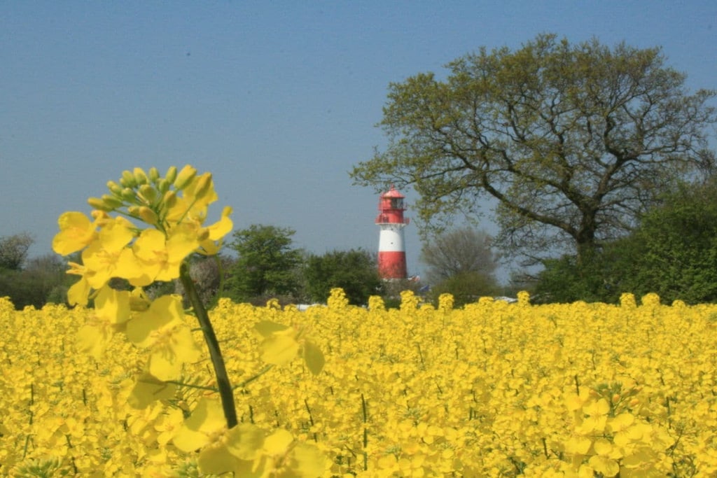 129926 - Niet-getagd