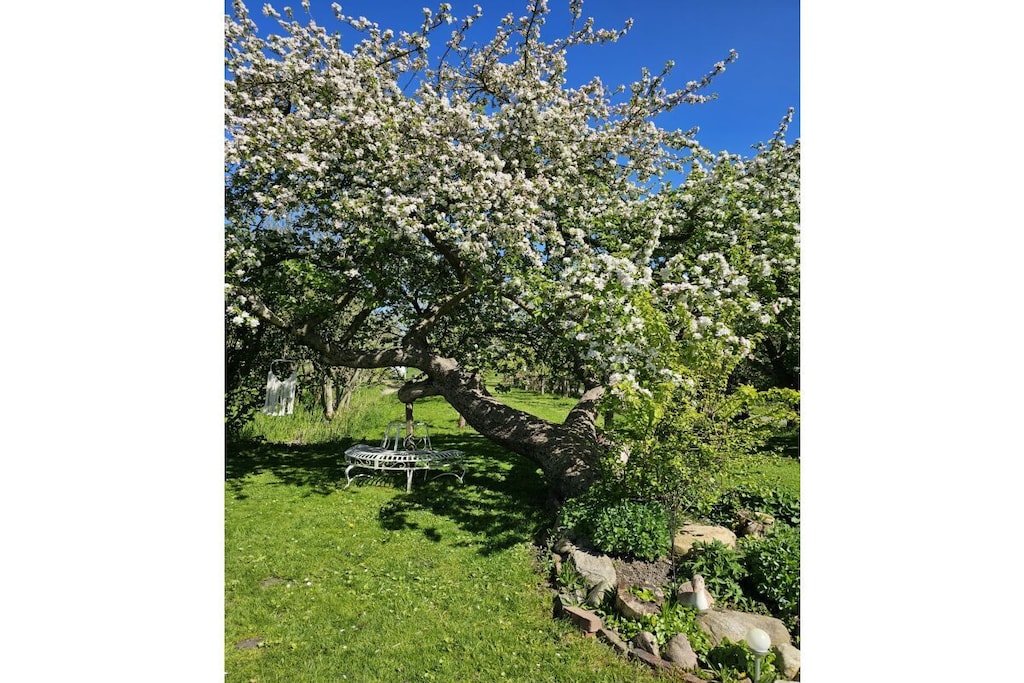 468553 - Non tagué