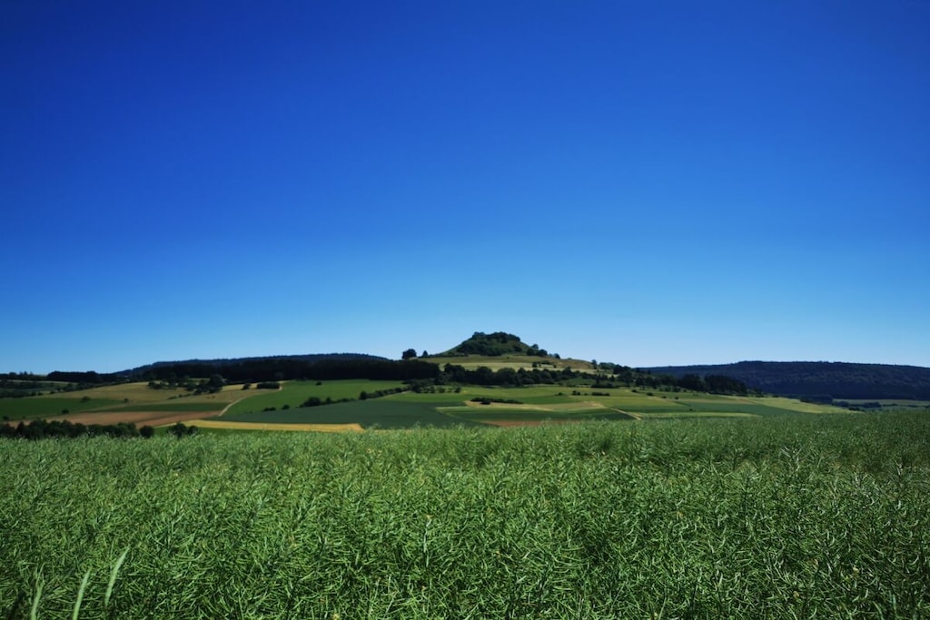 474078 - Nicht zugeordnet