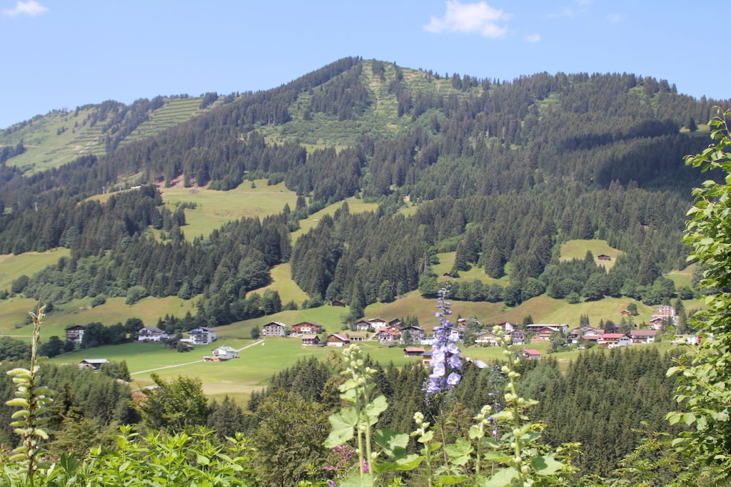 71325 - Non tagué