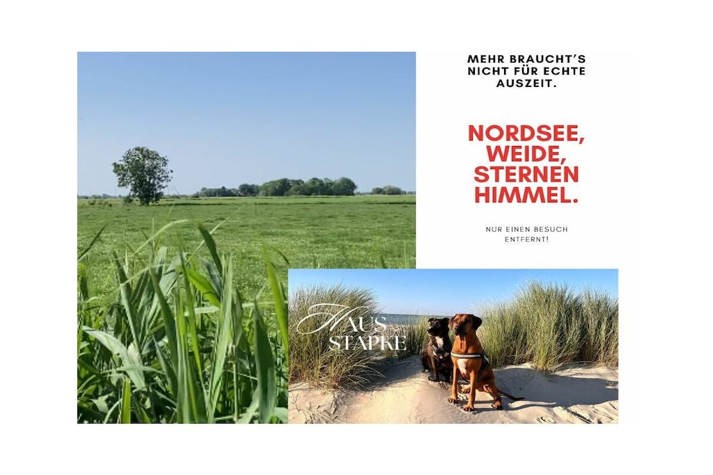 480273 - Nicht zugeordnet