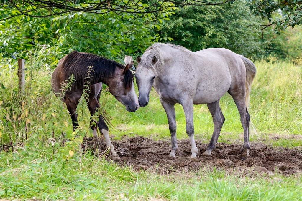 112347
