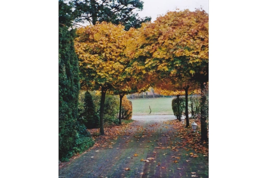78327 - Non tagué