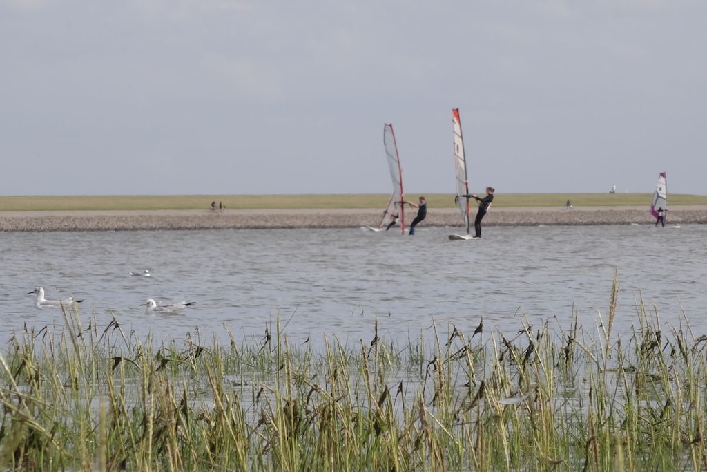 218690 - Niet-getagd
