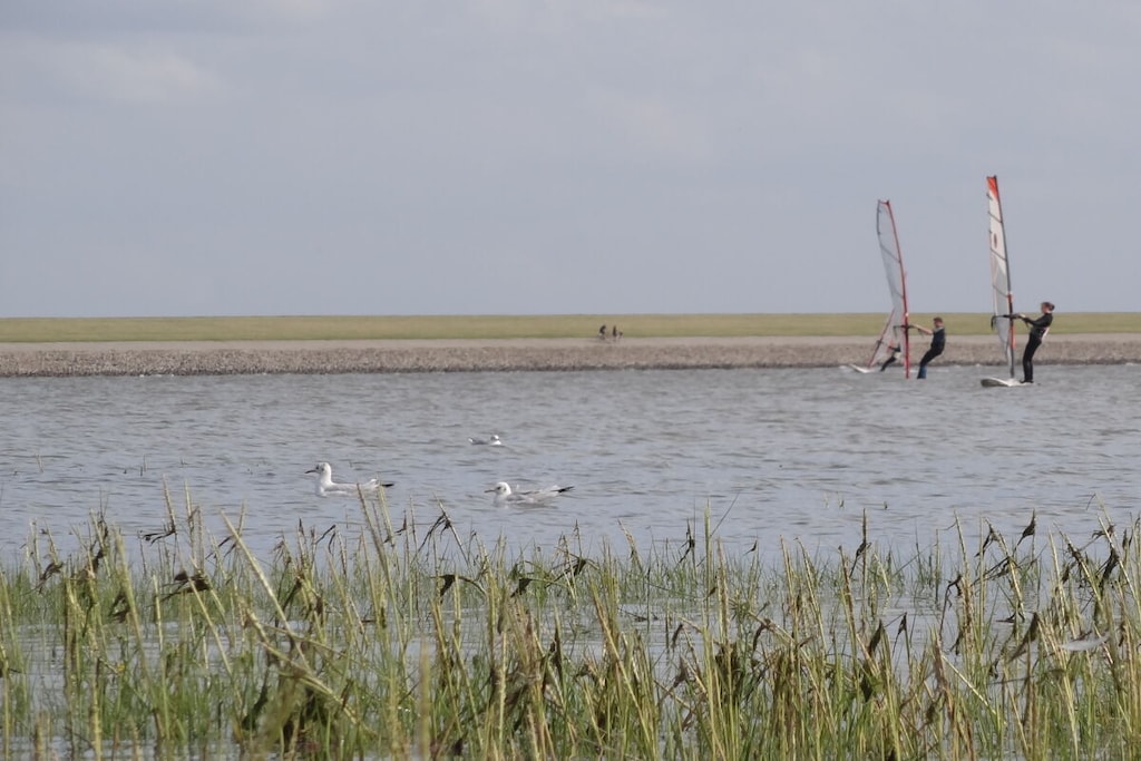 286992 - Niet-getagd