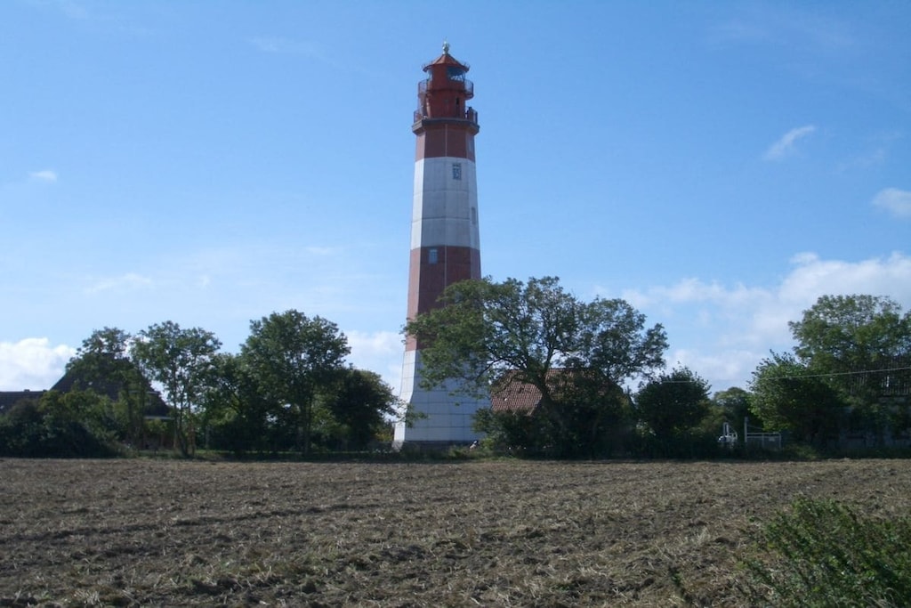 19695 - Non tagué