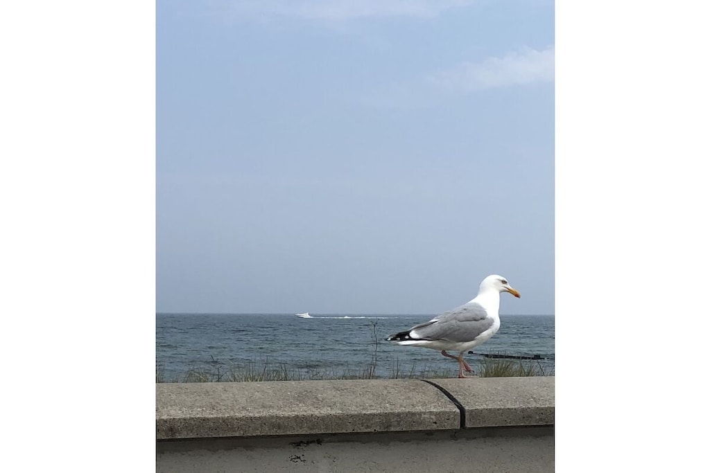 167505 - Niet-getagd
