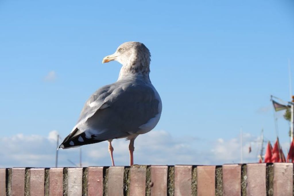 70588 - Niet-getagd