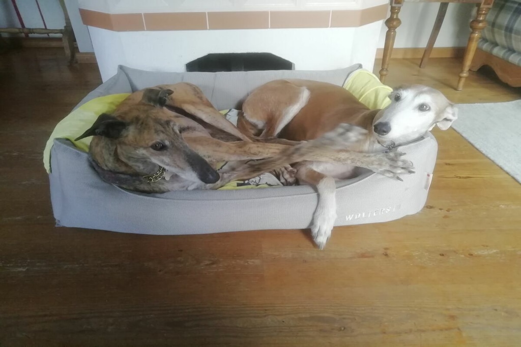 72313 - Nicht zugeordnet