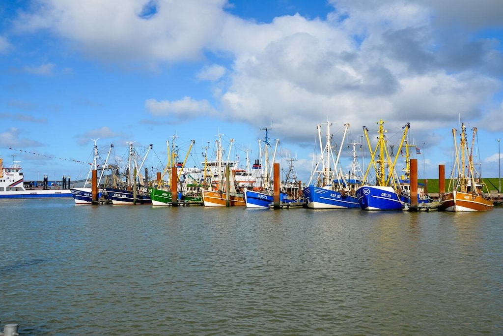 137793 - Niet-getagd