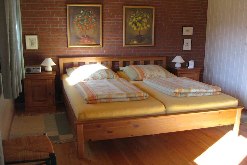 31379 - Niet-getagd