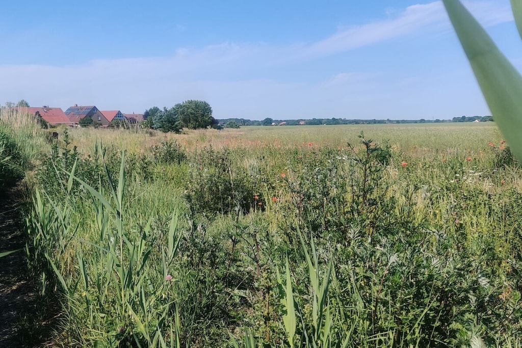 318774 - Niet-getagd