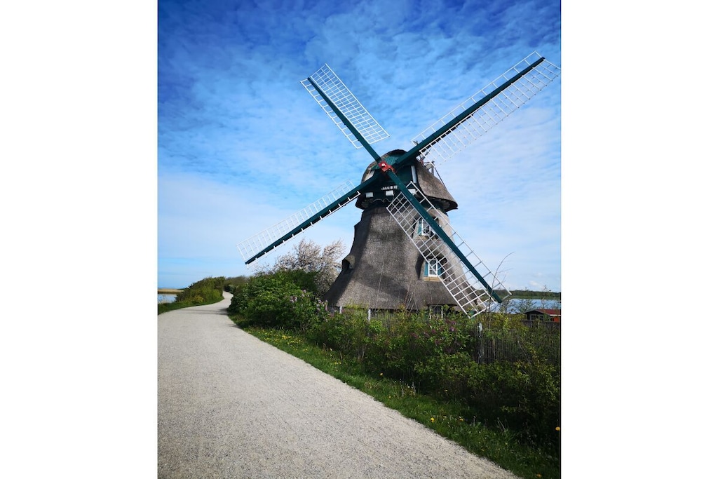 99664 - Niet-getagd