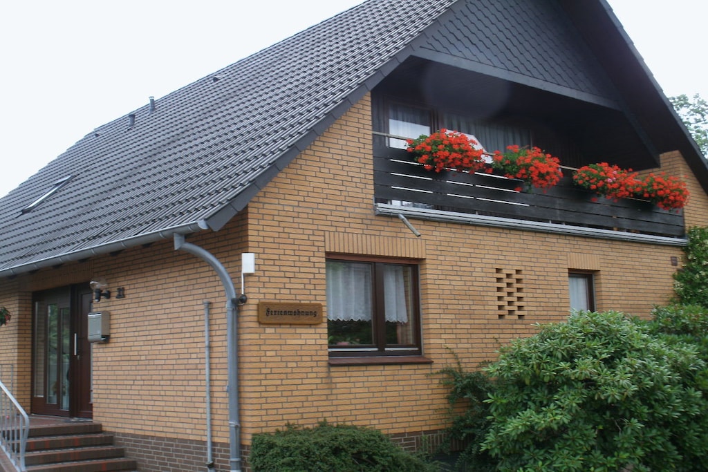 36408 - Niet-getagd