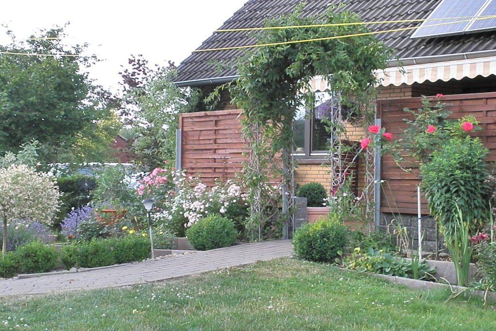 36408 - Niet-getagd