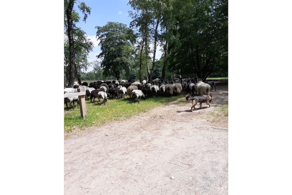 36408 - Niet-getagd