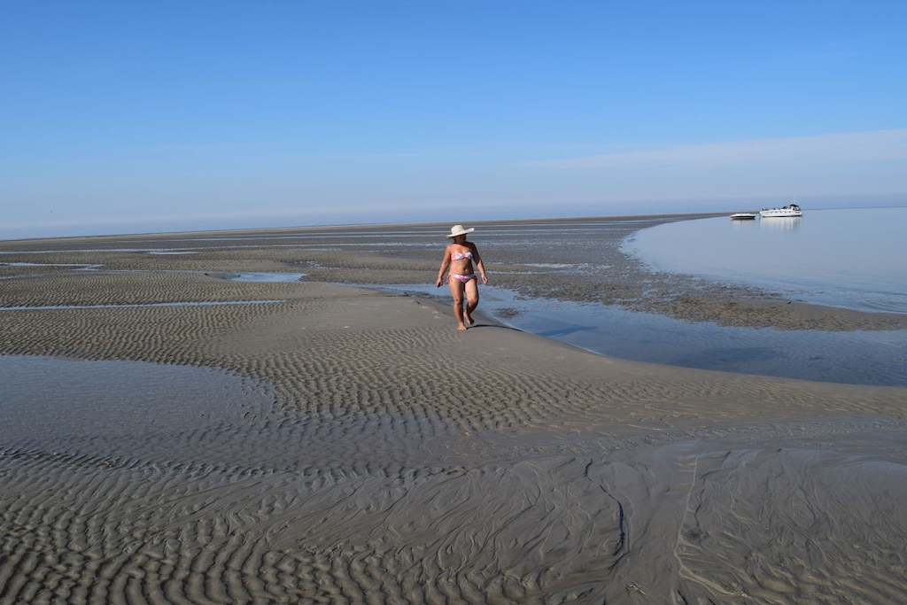 11361 - Niet-getagd