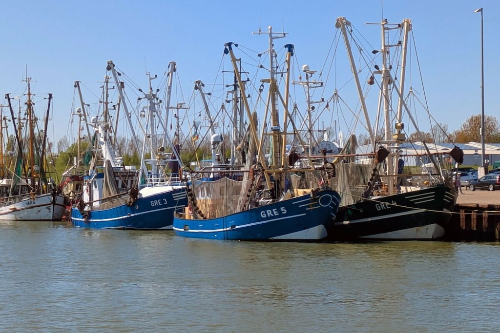 785857 - Non tagué