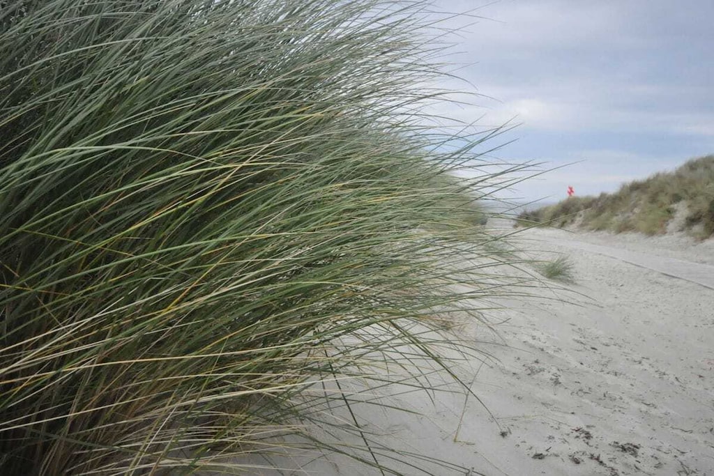 194725 - Non tagué