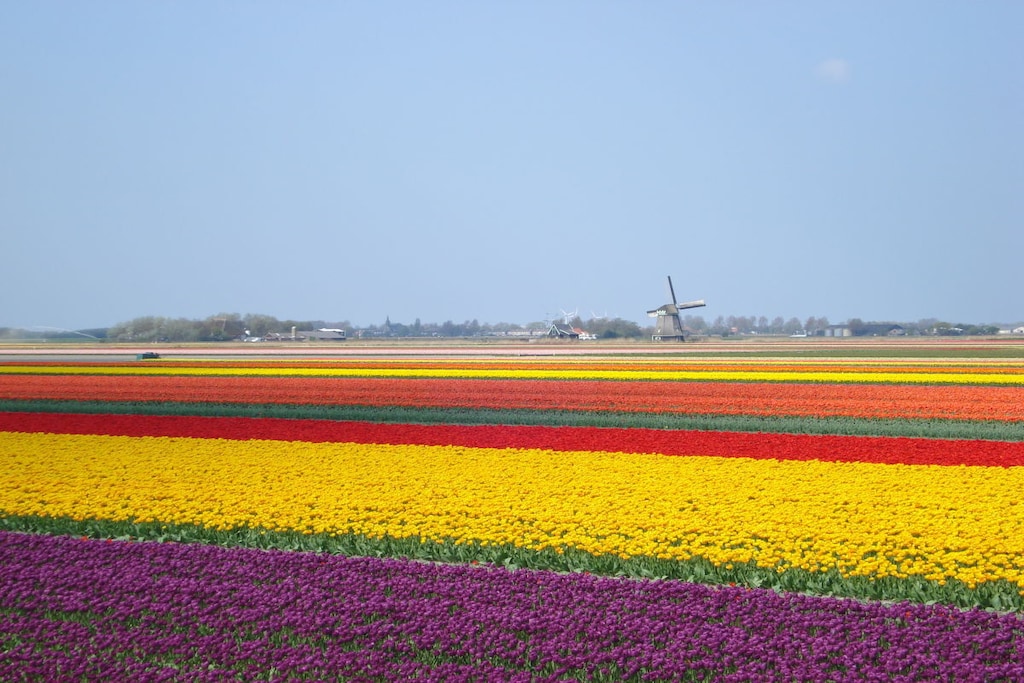 95832 - Niet-getagd