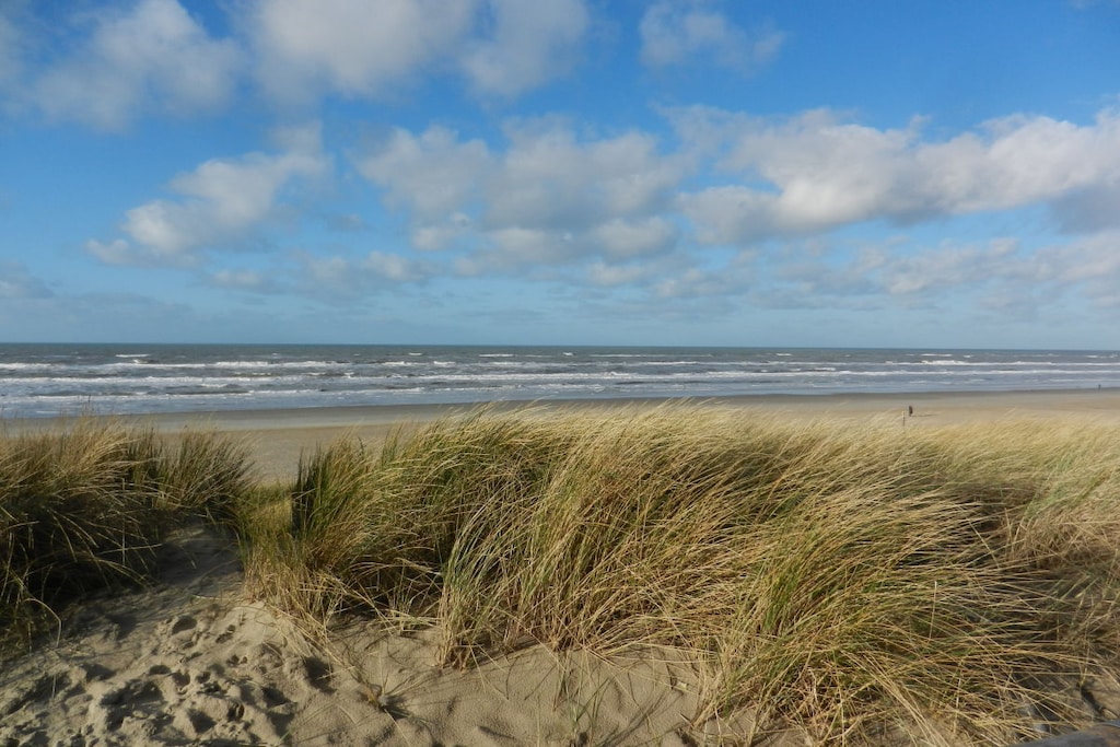 248997 - Niet-getagd