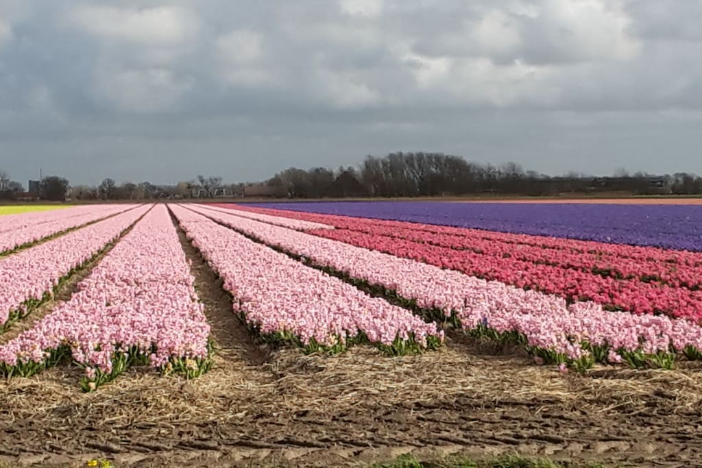 248997 - Niet-getagd
