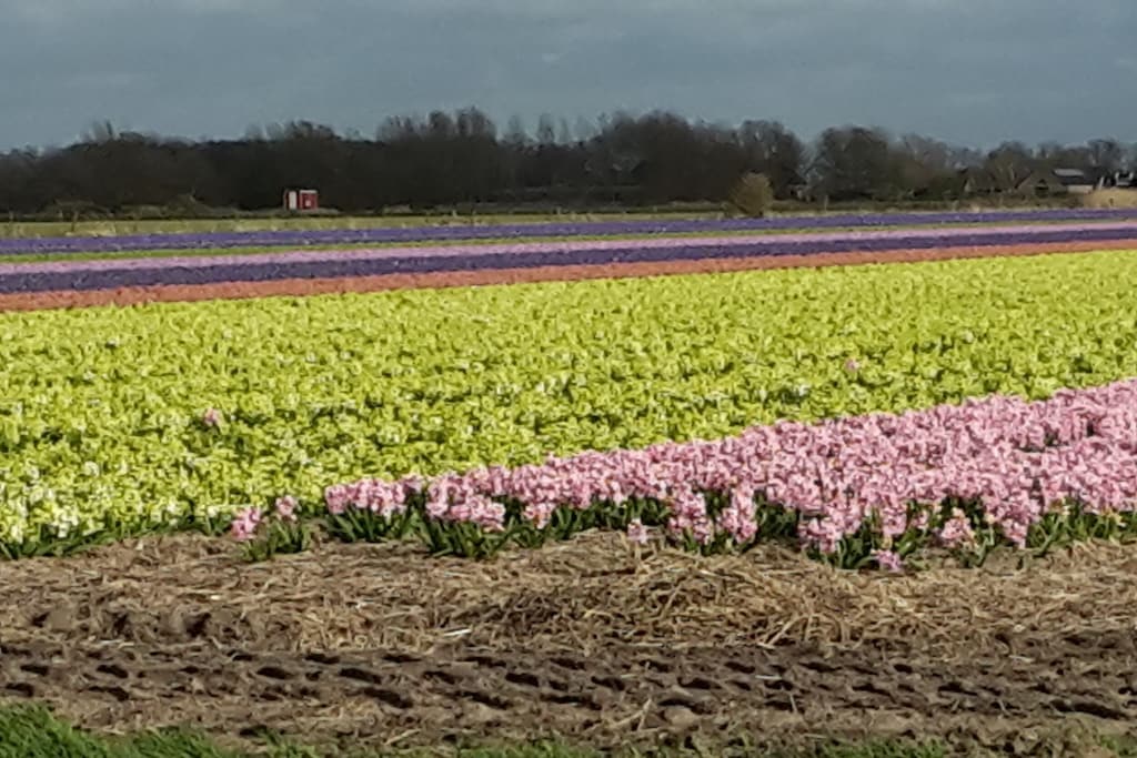 248997 - Niet-getagd
