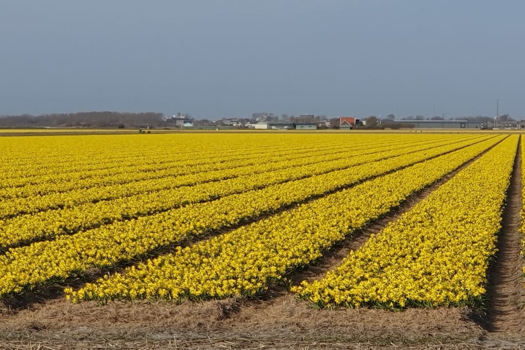 248997 - Niet-getagd