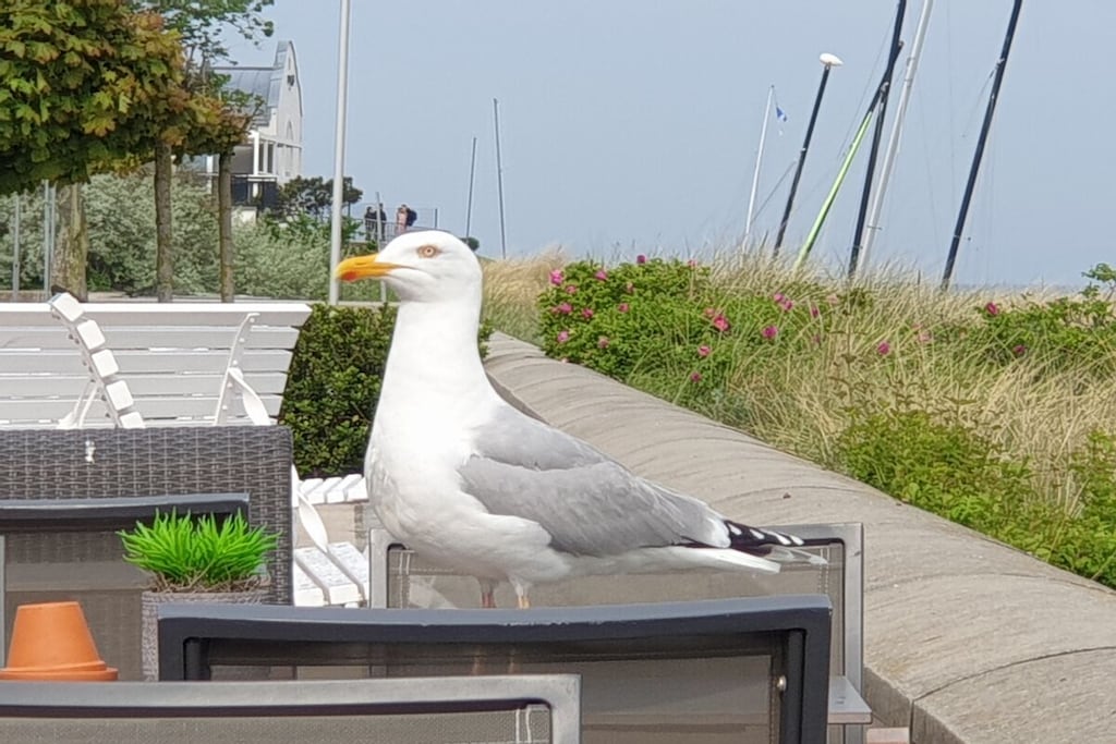 431722 - Niet-getagd
