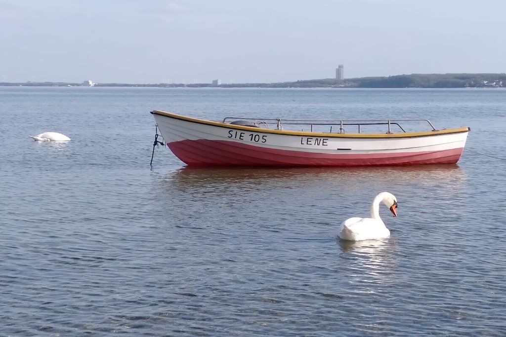 431555 - Niet-getagd