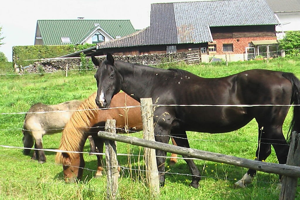 136316 - Niet-getagd