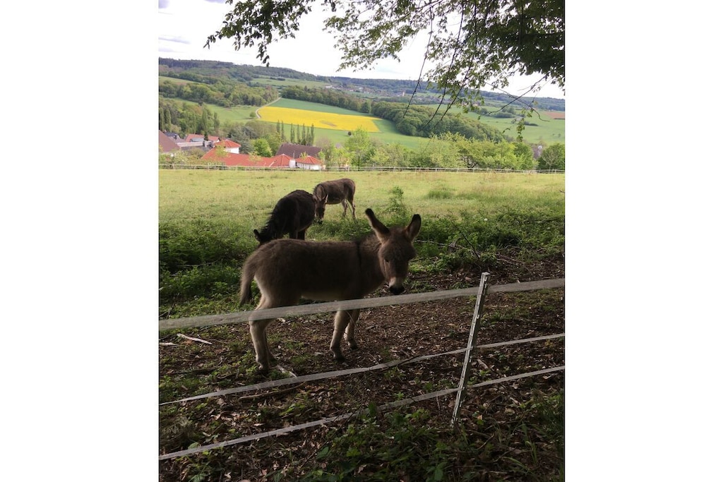 392649 - Niet-getagd