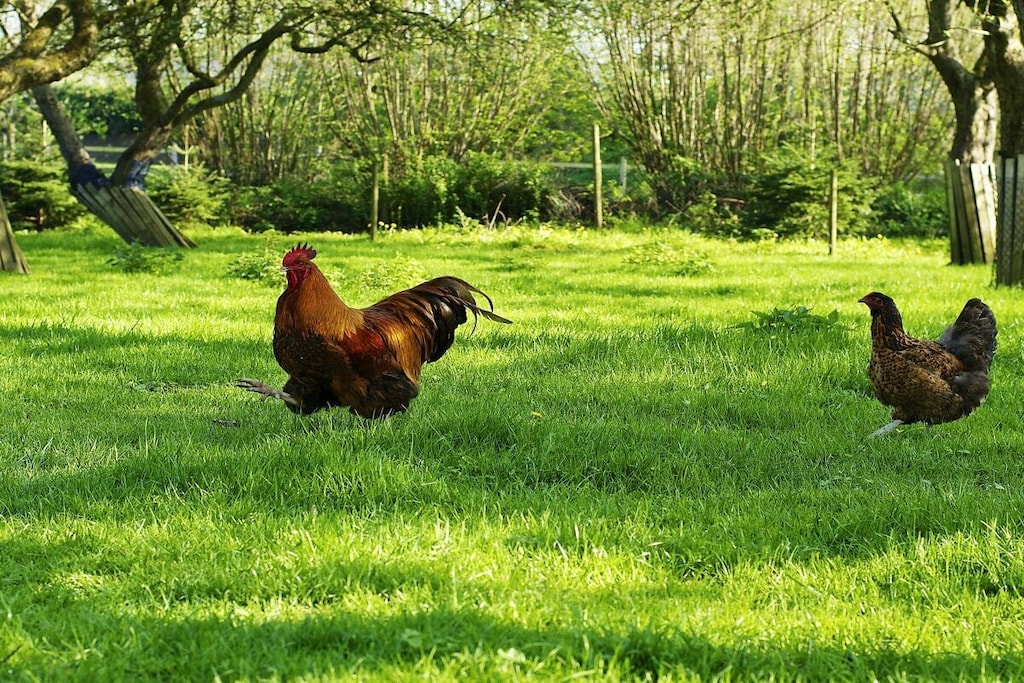 16790