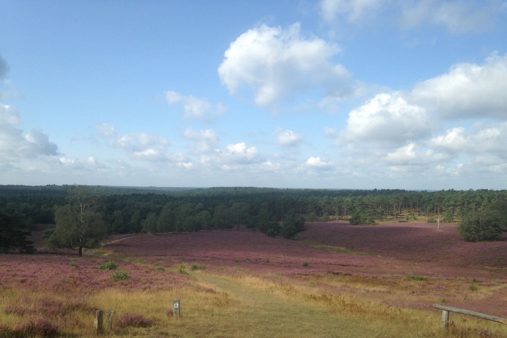 100956 - Niet-getagd