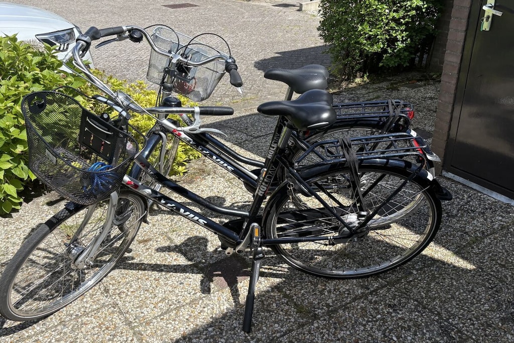 48541 - Niet-getagd