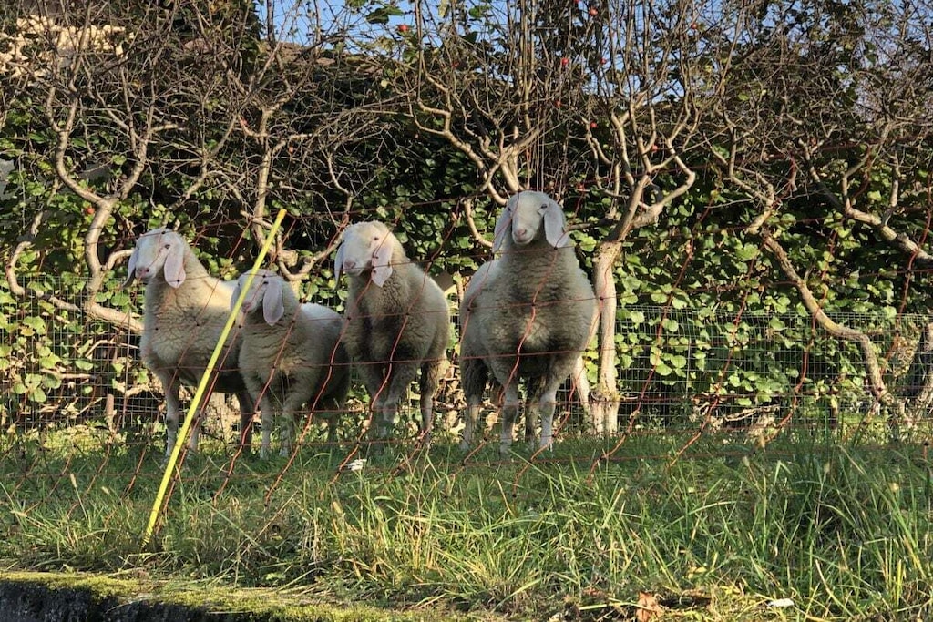 464887 - Niet-getagd